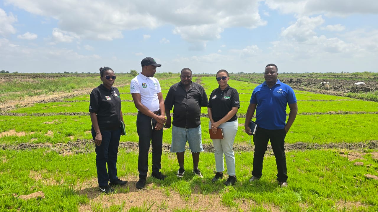 Field Visit: Digital Agriculture Loan Supports Rice Irrigation Scheme